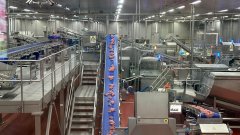 透偏激腿肠“降生记” 看智能产线若何守